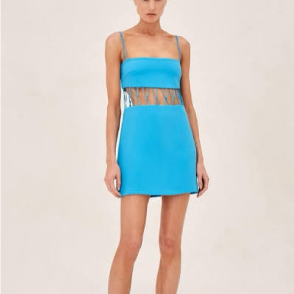ALEXIS Kim Dress